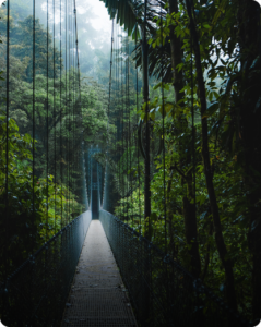 Monteverde